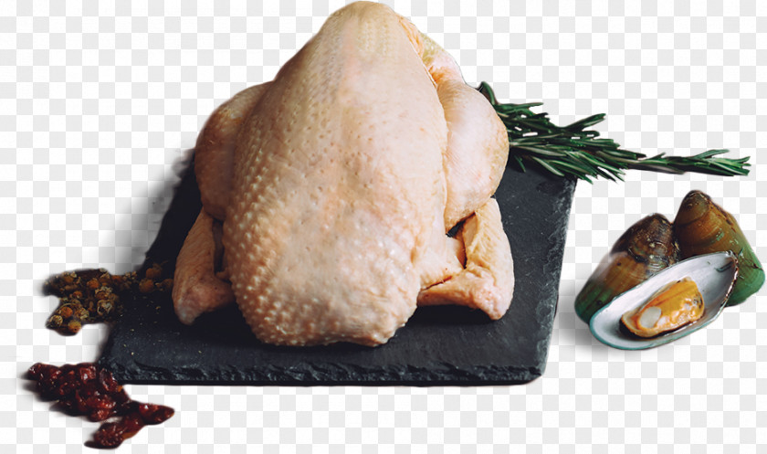 Turkey Meat Recipe Animal Source Foods Dish PNG