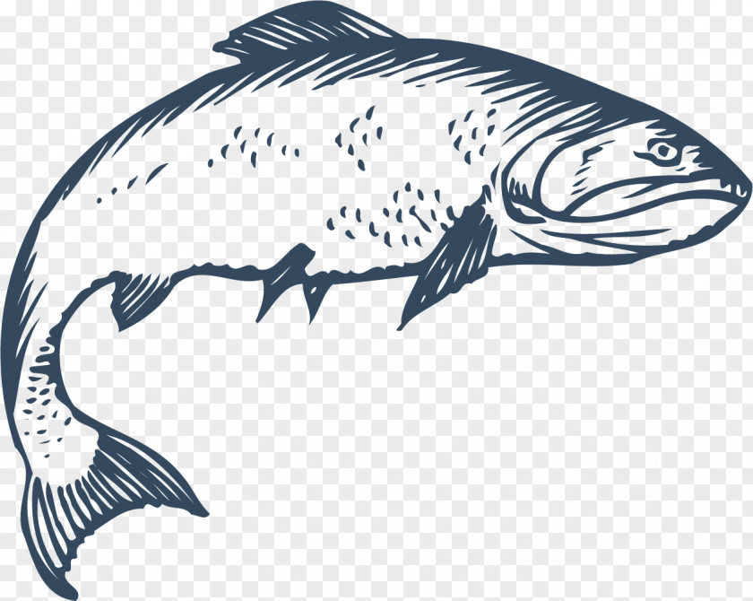 Crooked Fish Freshwater Euclidean Vector PNG