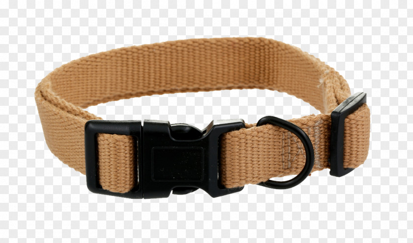Dog Collar Pet Belt PNG