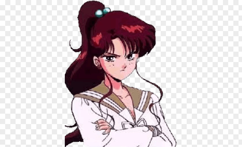 Sailor Moon Jupiter Neptune Venus Senshi PNG