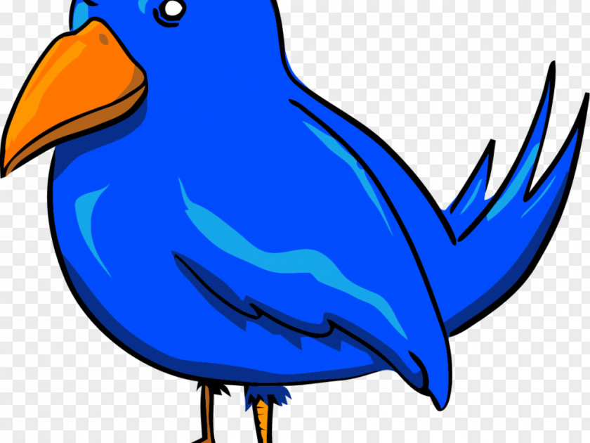 Bird Eastern Bluebird Clip Art PNG