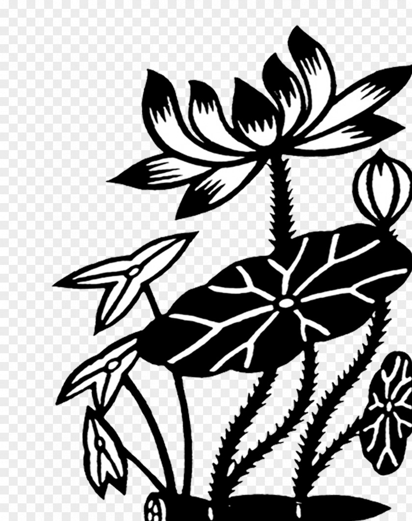 Black Ink Lotus Decorative Material Nelumbo Nucifera Root And White Clip Art PNG
