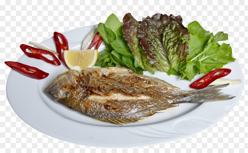 Fish Fried Moqueca Grilling Sauce PNG