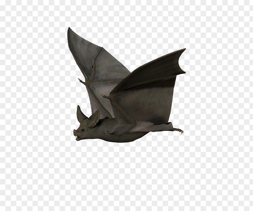 Bat Drawing PNG