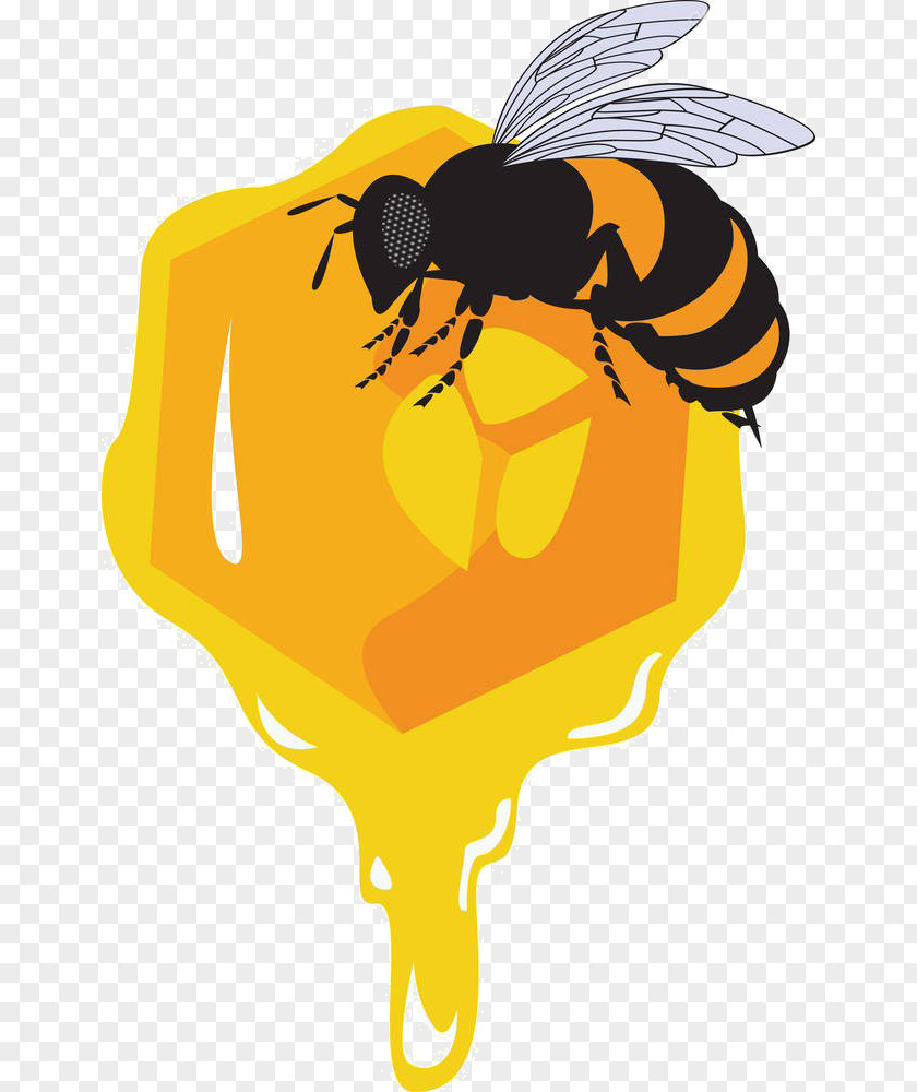 Cartoon Bee Material Honeycomb Euclidean Vector Drawing Illustration PNG
