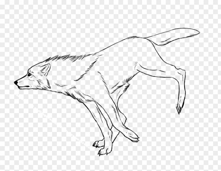 Dog Red Fox Breed Drawing Sketch PNG