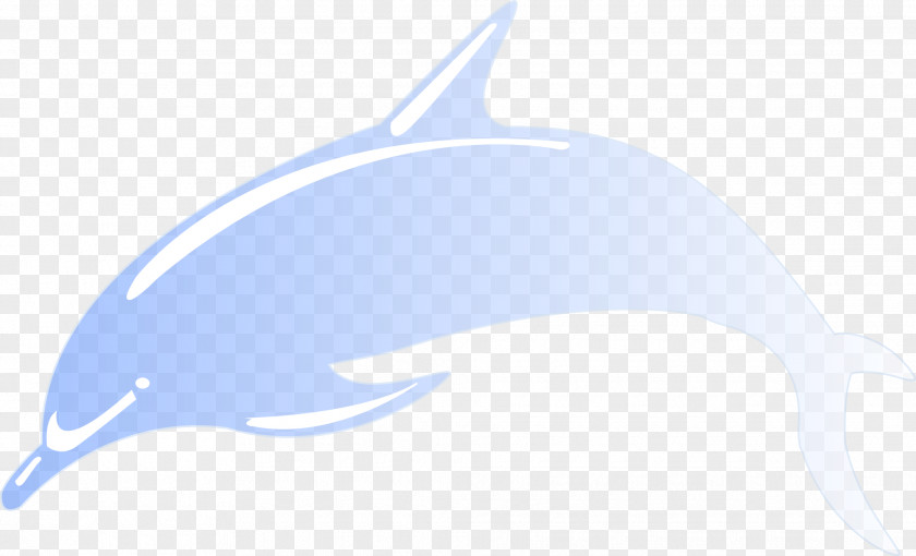Dolphin Common Bottlenose Tucuxi PNG