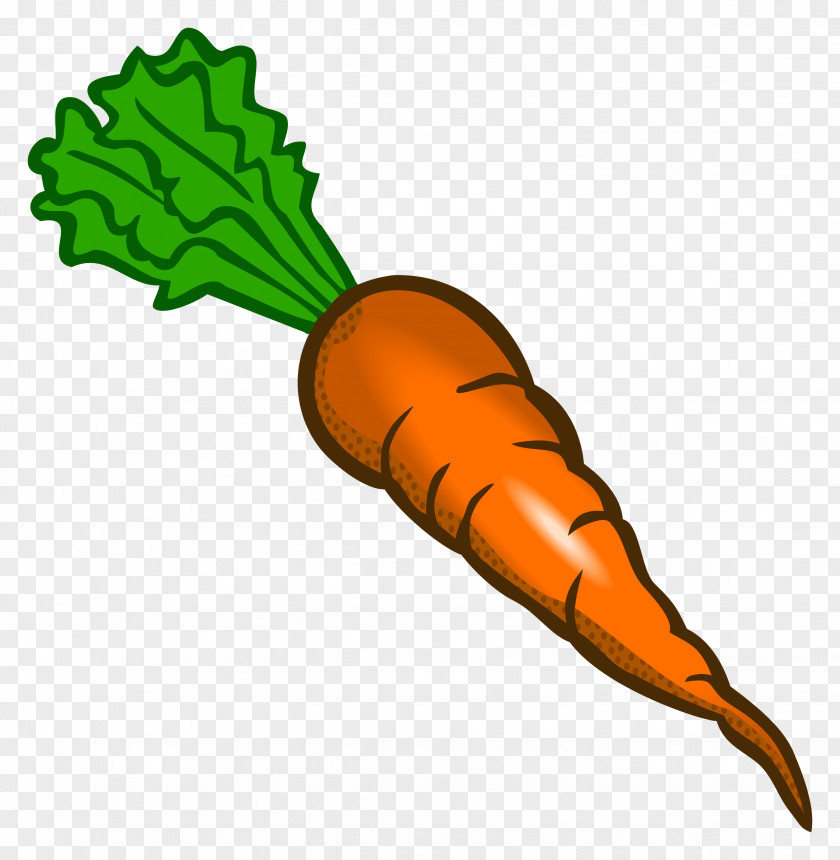 Drawing Carrot Food Vegetable Clip Art PNG