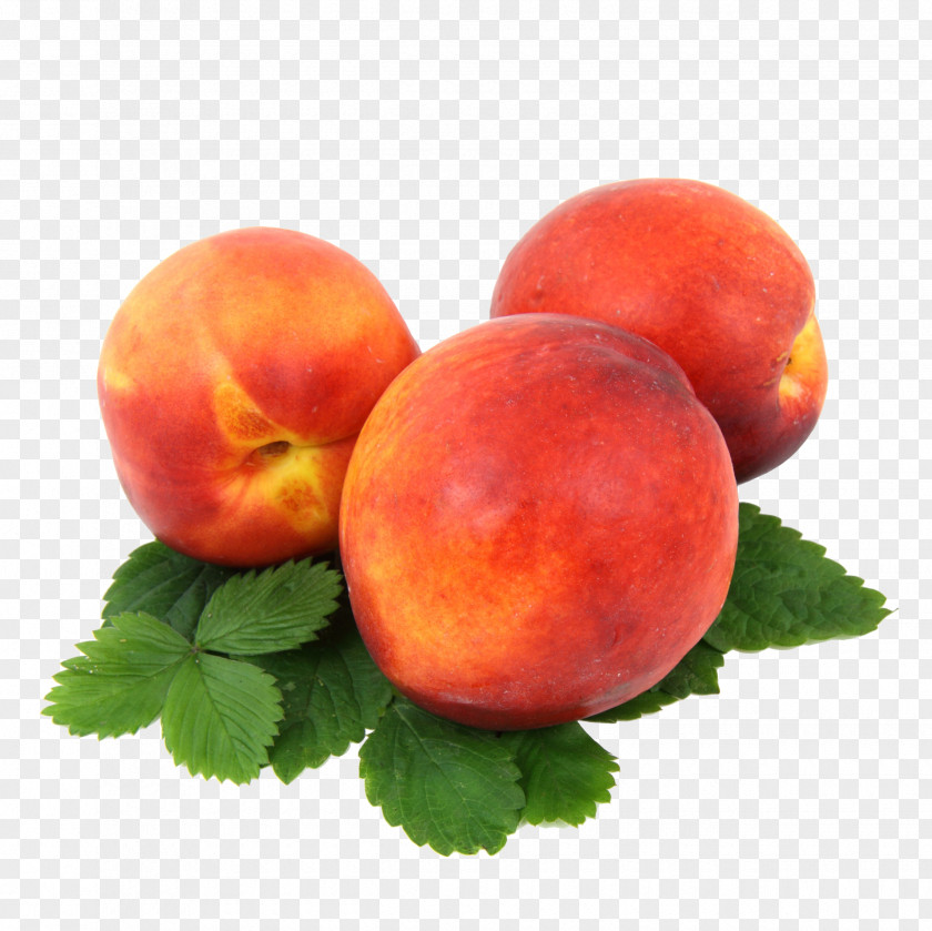 Peach Nectarine Saturn Fruit Strawberry Variety PNG
