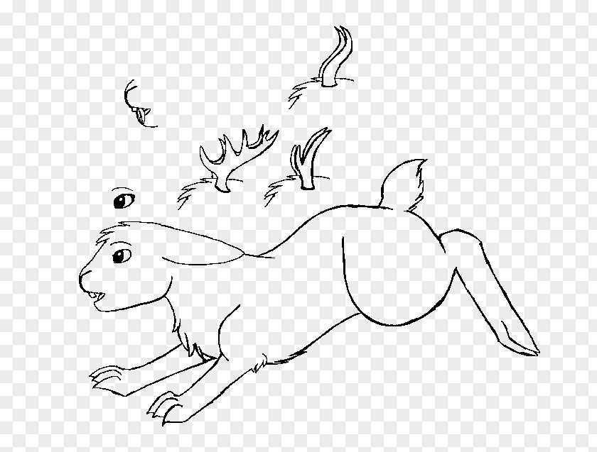 Rabbit Hare Whiskers Line Art Sketch PNG
