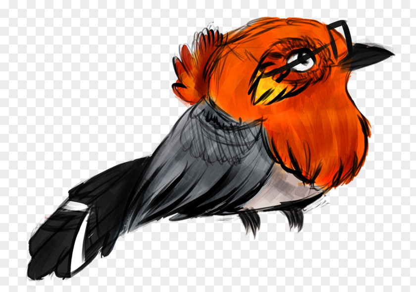 Steam Buns Parrot Illustration Beak Feather Graphics PNG