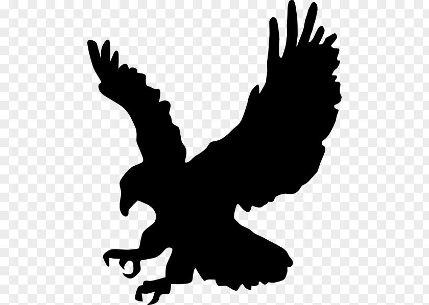 Stencil Bald Eagle Clip Art PNG