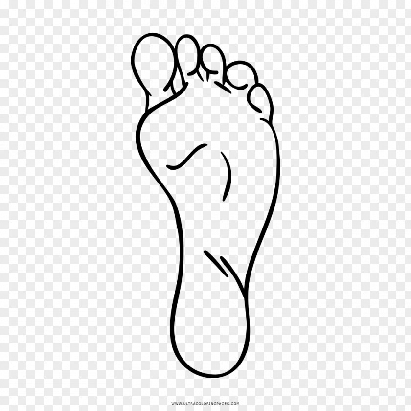 Thumb Coloring Book Drawing Foot Line Art PNG