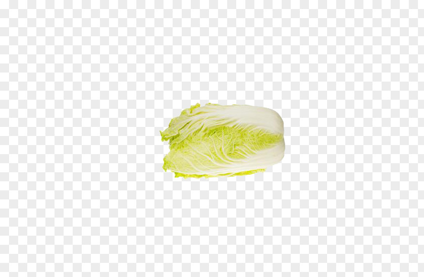 Vegetable Cabbage Yellow Pattern PNG