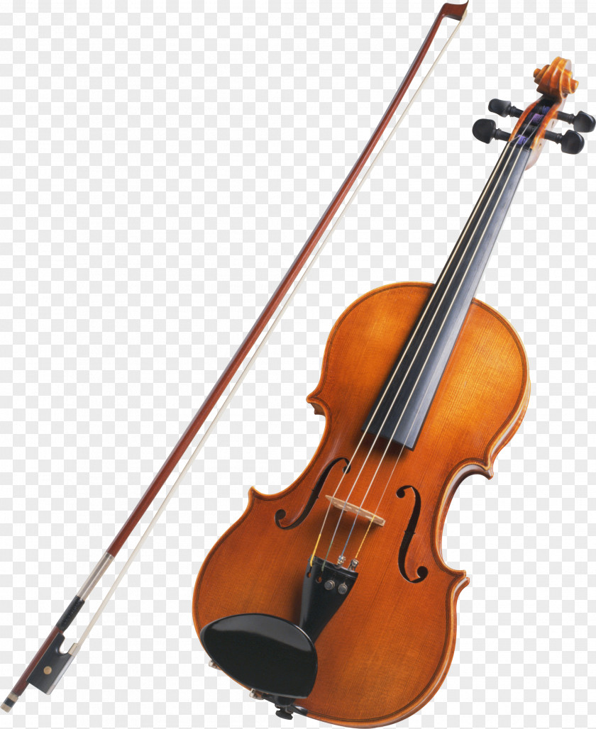 Violin String Instrument Musical Viola PNG
