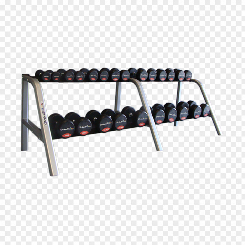 Dumbbell Fitness Centre Weight Training Physical PNG