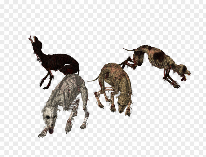 Hyena Dark Souls Dog Wolves For Kids MikuMikuDance PNG