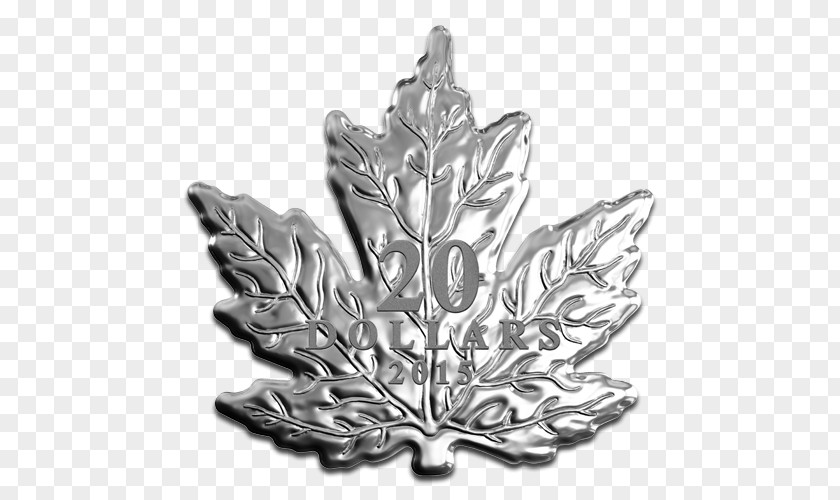 Canada Canadian Gold Maple Leaf Silver PNG
