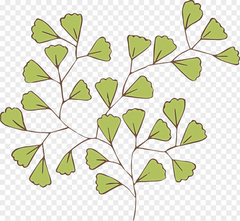 Plant Stem Twig Leaf Green Branch Tree PNG