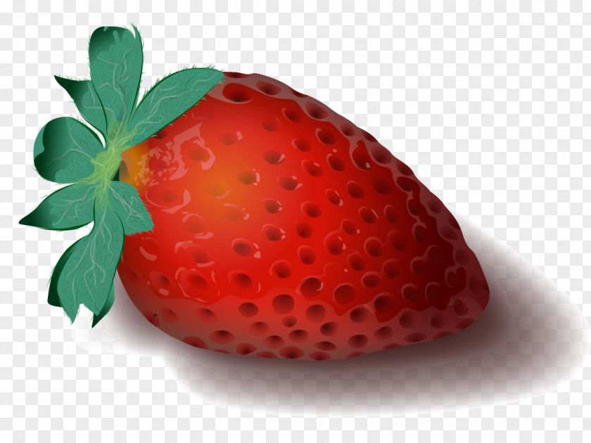 Strawberry Vector Graphics Clip Art Illustration Image PNG