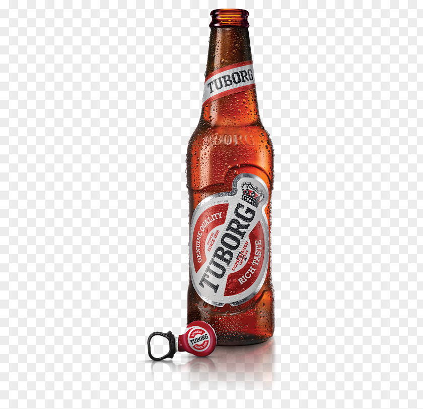 Duff Beer Bottle Tuborg Brewery Tuborgflasken Fizzy Drinks PNG