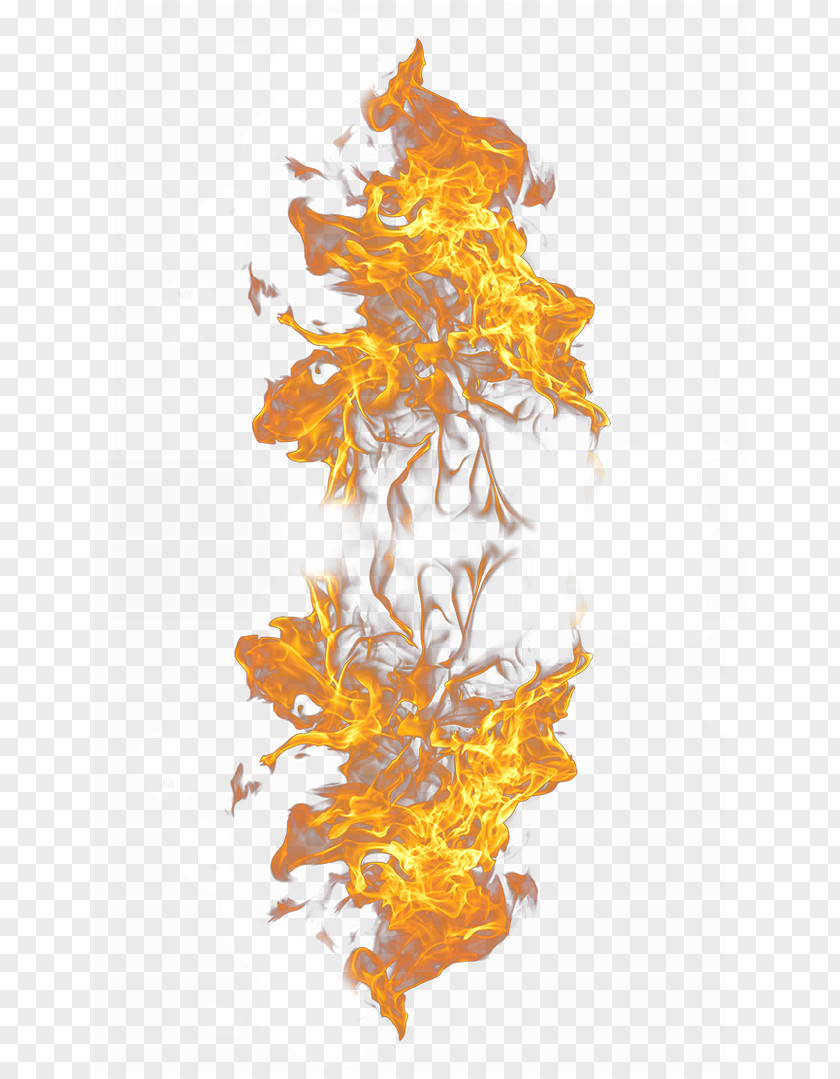 Flame,fire Light Flame Fire Combustion PNG
