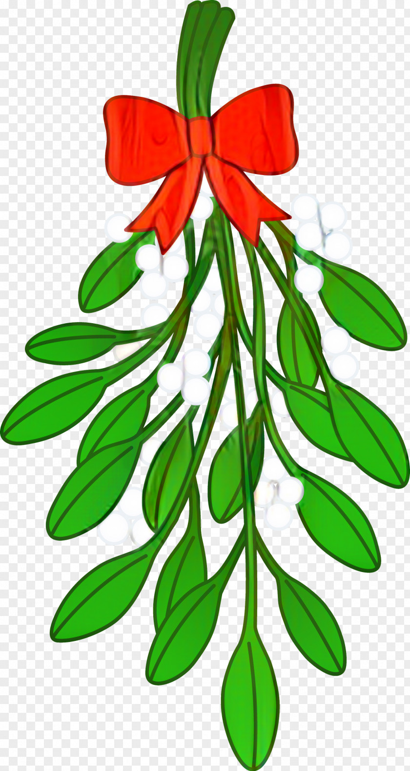 Plant Stem Tree Christmas Clip Art PNG