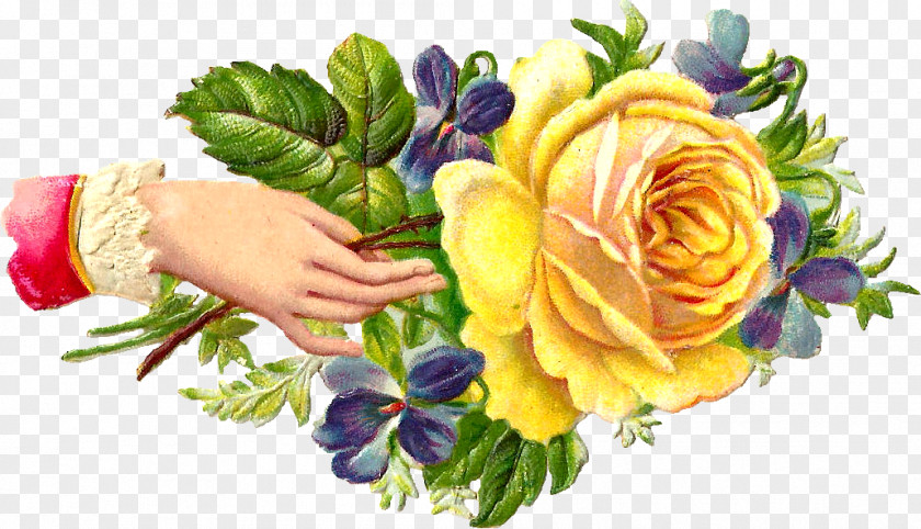 Qn Victorian Era Clip Art Floral Design Rose Flower PNG