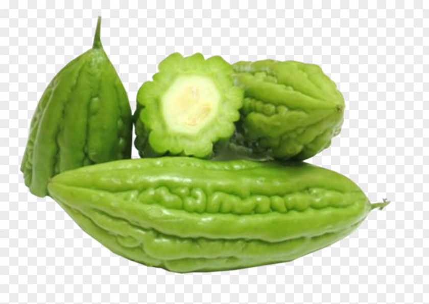 Vegetable Bitter Melon Food Chayote Health PNG