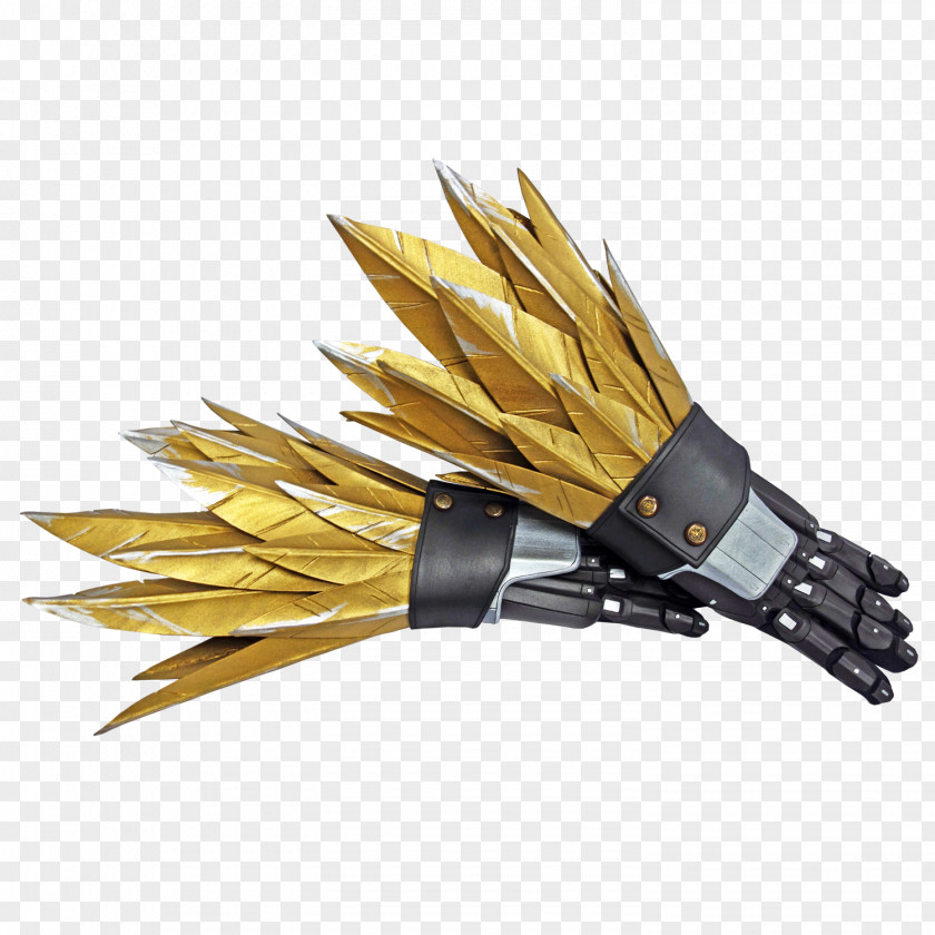 Hand Painted Feather Claw Gauntlet Image JPEG World Wide Web PNG