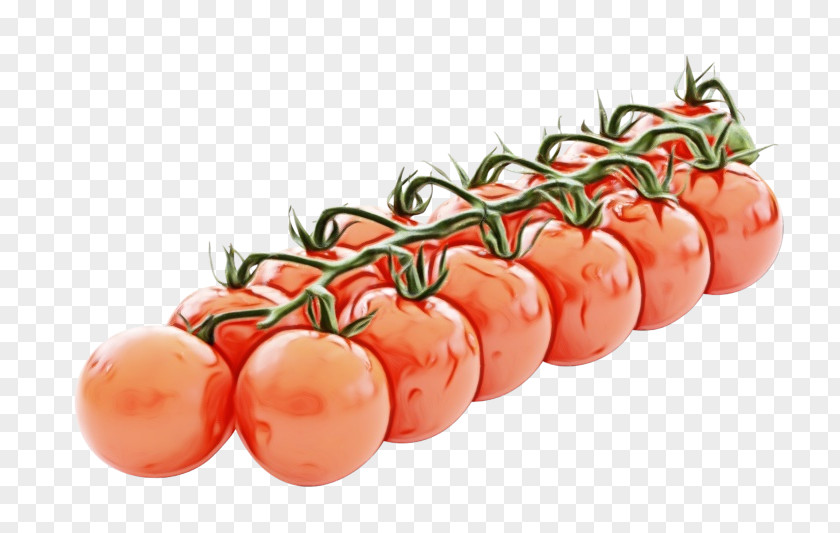 Nightshade Family Vegetarian Food Tomato PNG