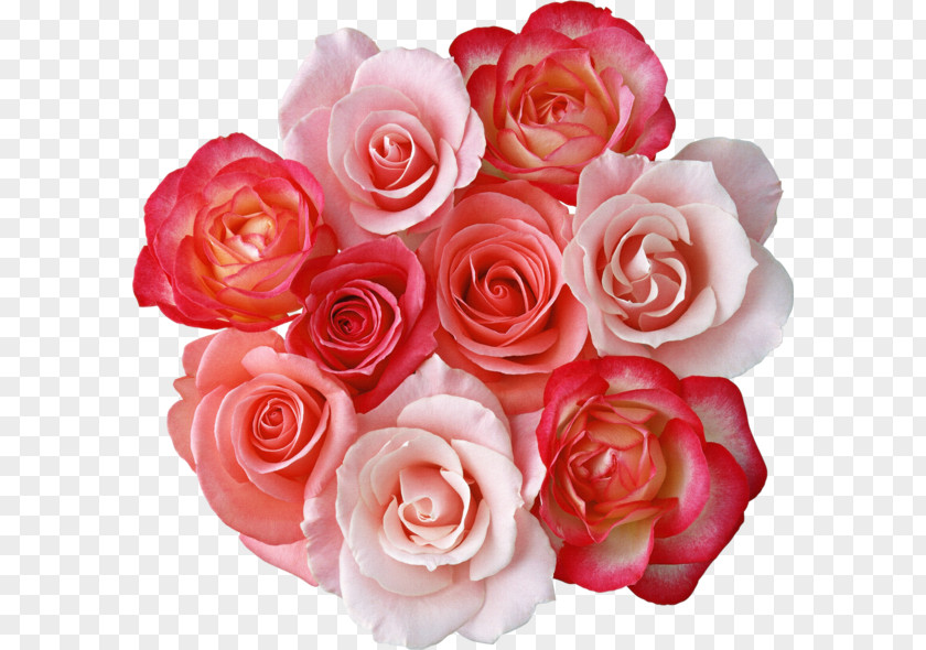 Bunch Rose Flower Bouquet Pink Flowers Clip Art PNG