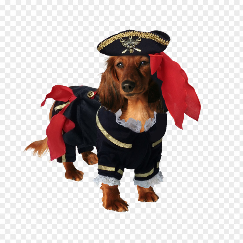 Dog Costume Clothing Pet Hat PNG