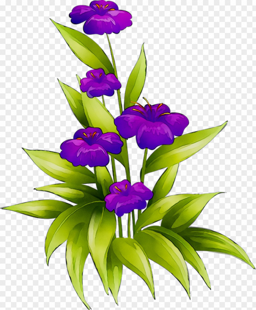 Floral Design Cut Flowers Plant Stem PNG