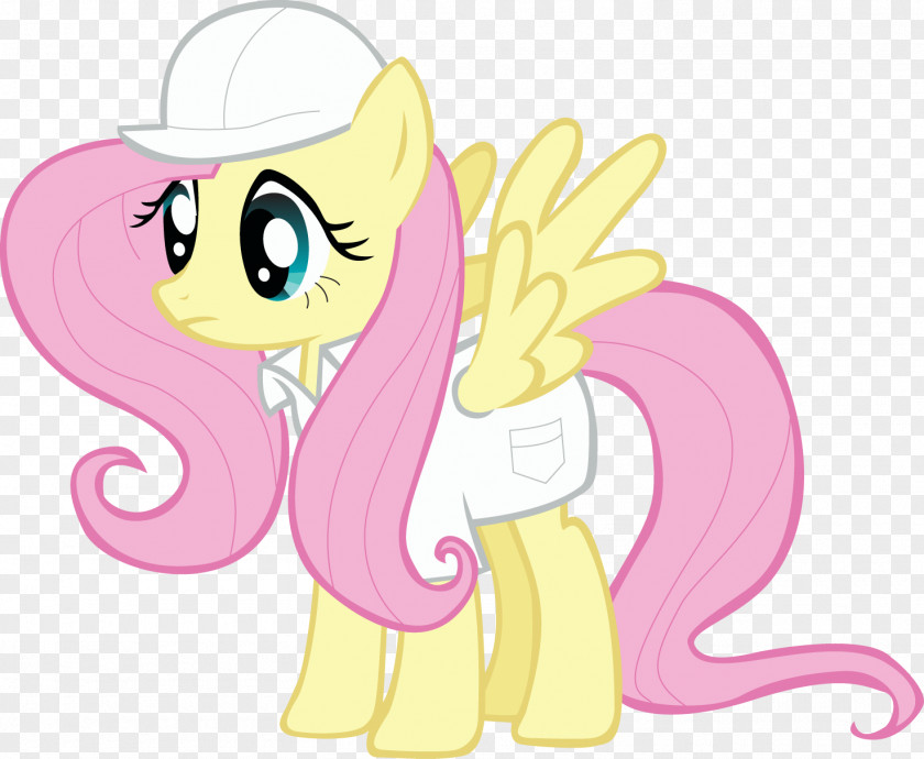 Fluttershy Rarity Pinkie Pie Rainbow Dash Applejack PNG