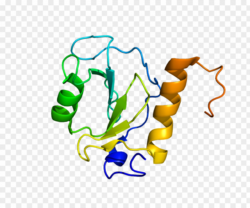 HDAC6 Histone Deacetylase Protein Acetylation And Deacetylation PNG