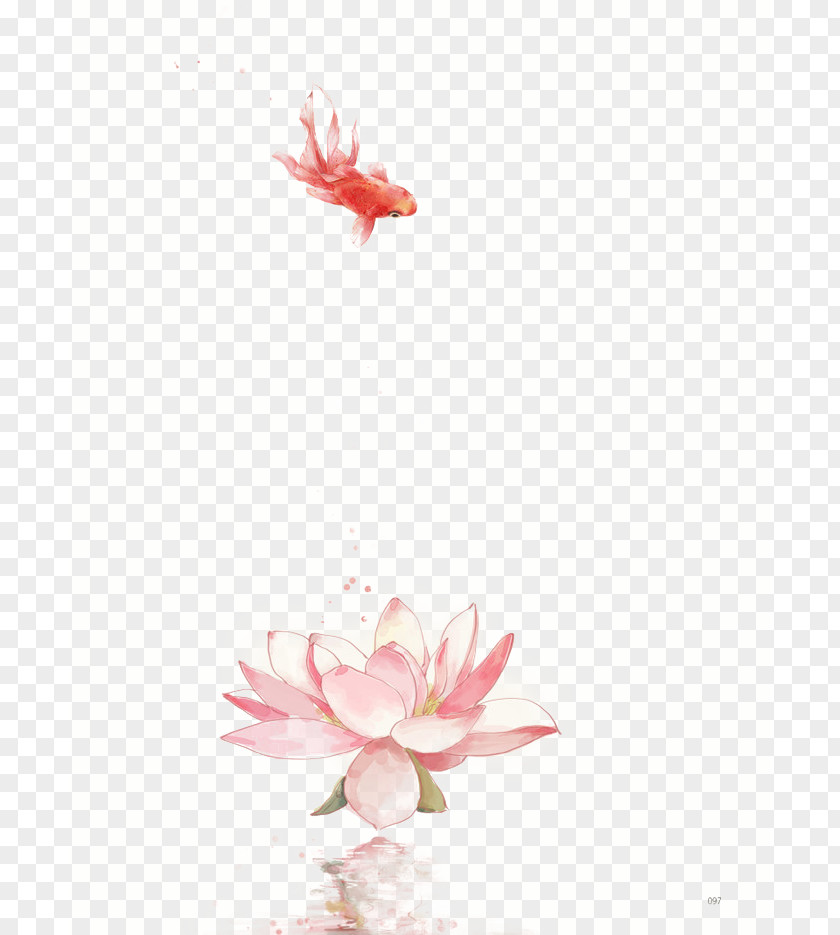 Lotus Goldfish Nelumbo Nucifera Flower Water Lily Drawing Chinese Art PNG