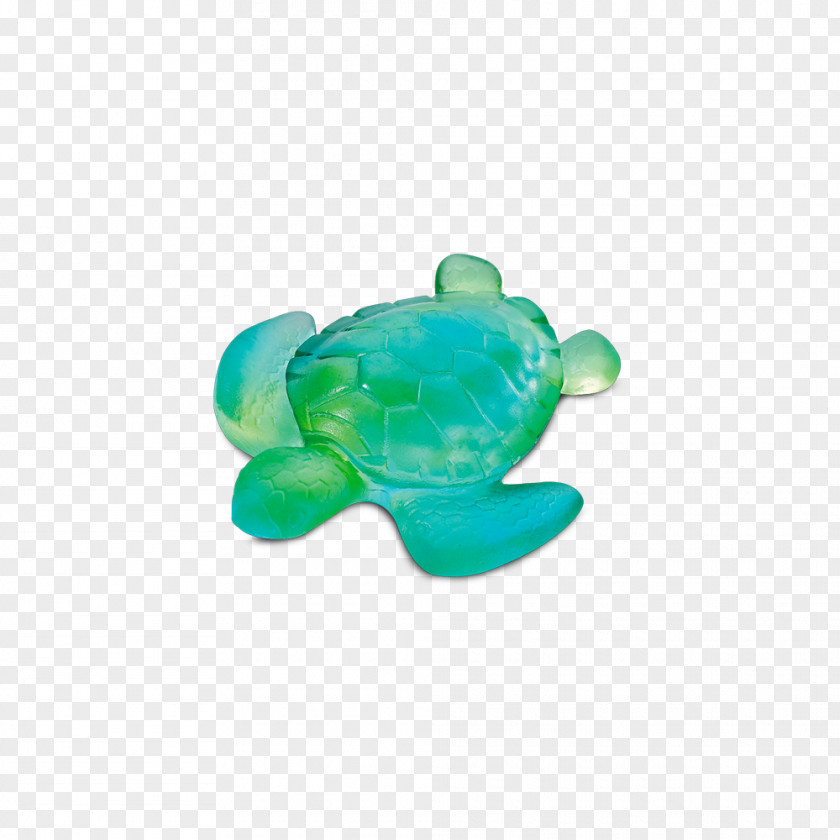 Turtle Sea Blue Daum Turquoise PNG