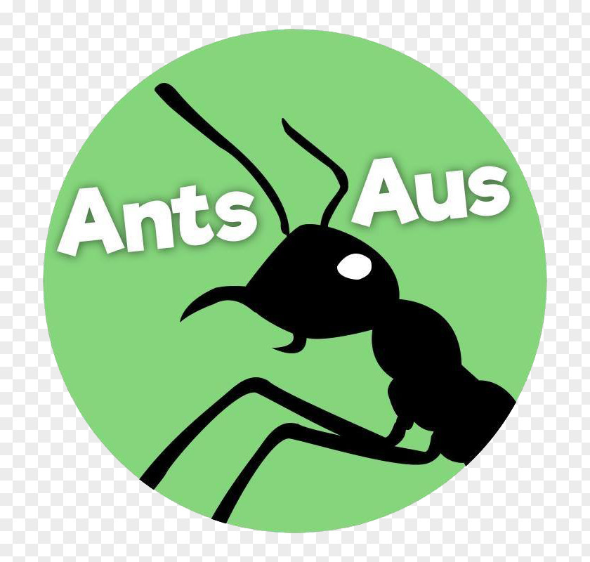 Argentine Ant Aus Ants Ant-keeping Messor PNG