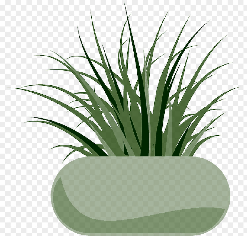 Grass Garden Clip Art Vector Graphics Openclipart Free Content PNG