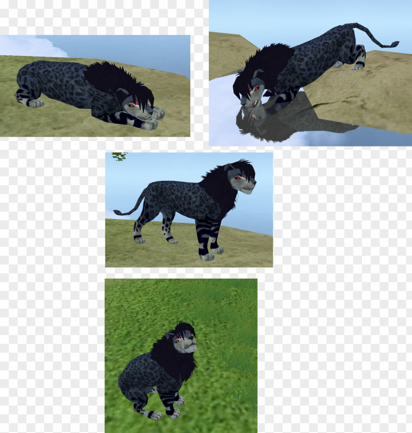 Narwal Dog Breed Portuguese Water Spanish Sporting Group PNG