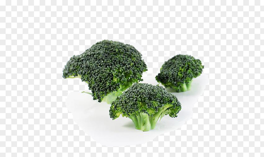 Organic Broccoli PNG