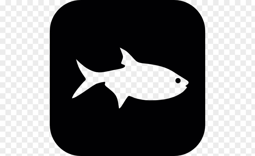 Symbol Ichthys Food Clip Art PNG