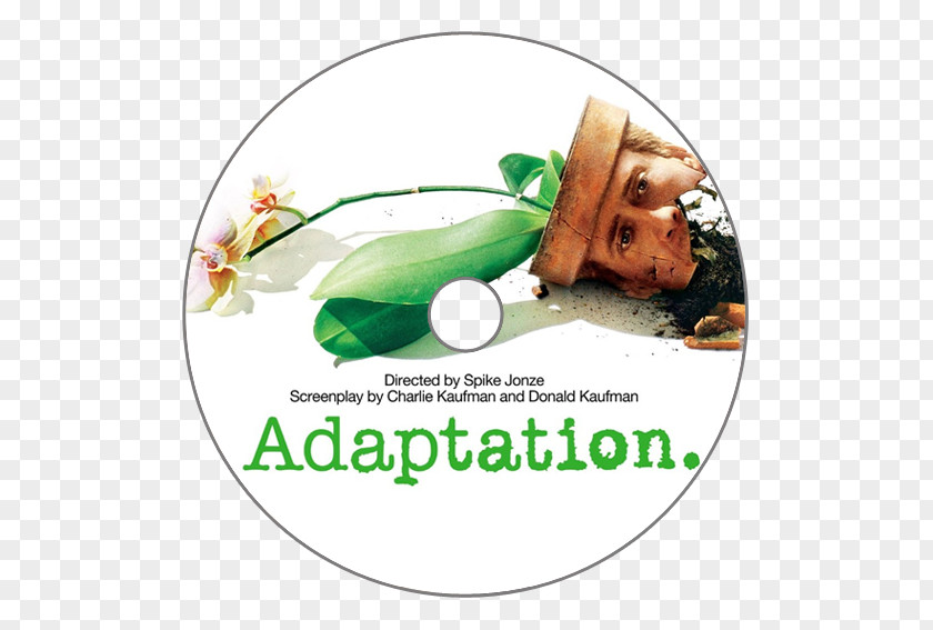 Adaptation Television Film Criticism Screenwriter Golden Globe Award For Best Motion Picture – Drama PNG