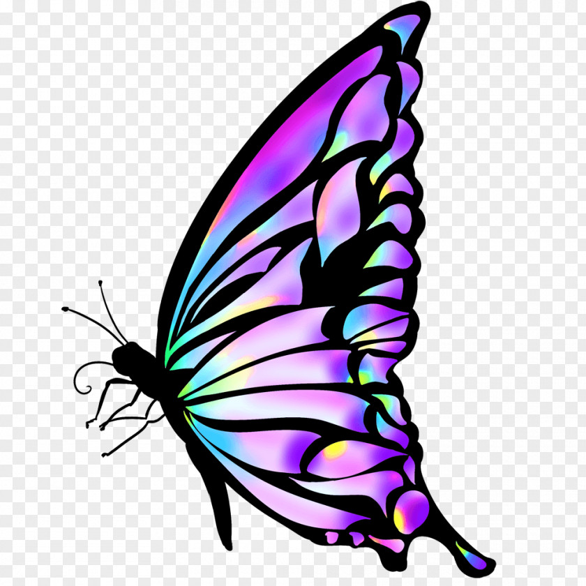 Butterfly Monarch Photography Clip Art PNG
