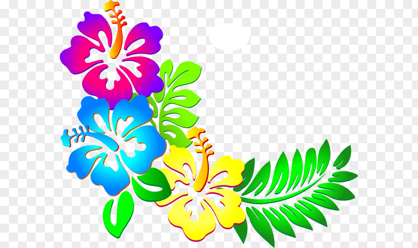 Daffodil Border Cliparts Hawaii Flower Clip Art PNG