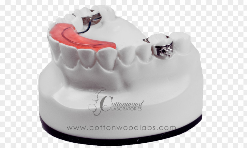 Digital Appliances Biting Tooth Behavior Dentistry PNG