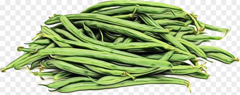 Green Beans Vegetable Bean Lima Commodity PNG