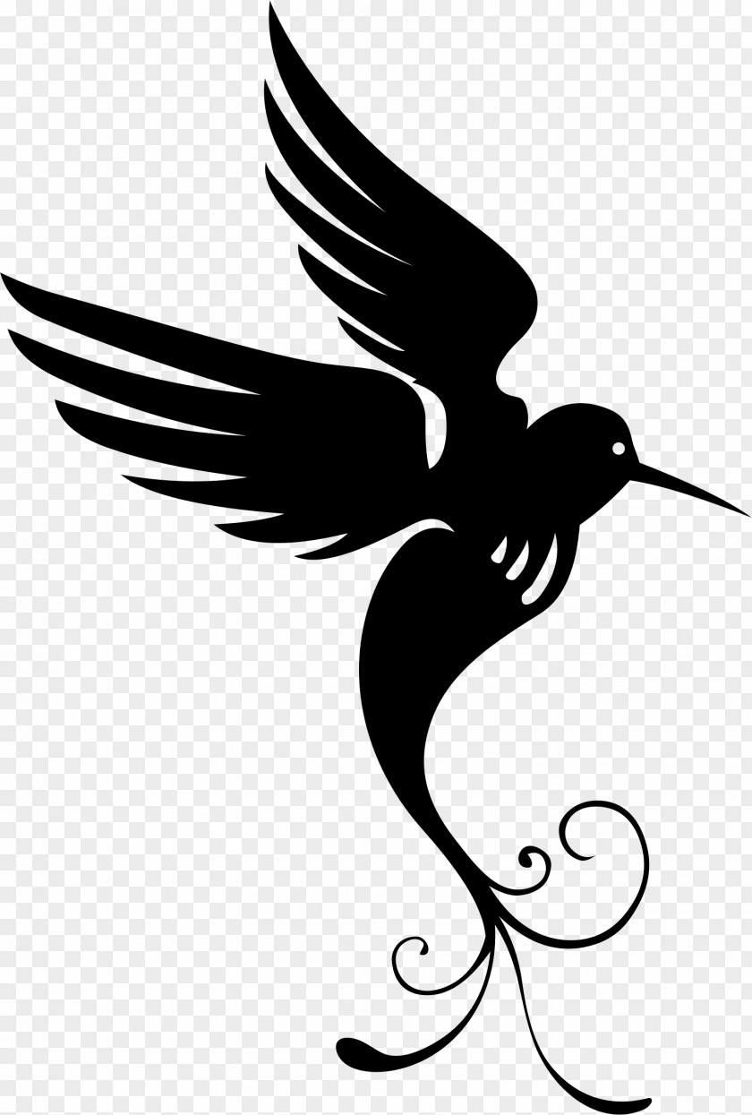 PARADİSE Hummingbird Drawing Silhouette Clip Art PNG