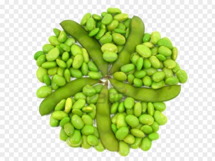 Soya Edamame Soy Milk Soybean Protein Nutrition PNG